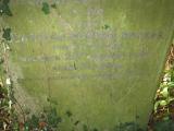 image of grave number 504754